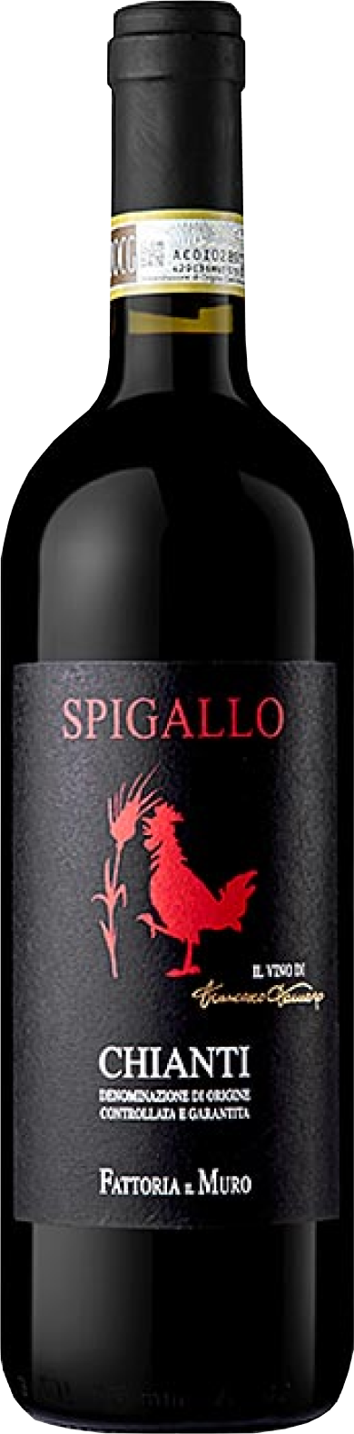 Fattoria II Muro, Spigallo Chianti, 2021