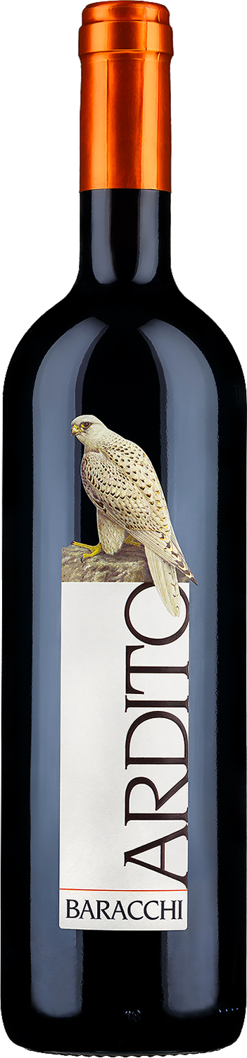 Baracchi, Ardito, 2019